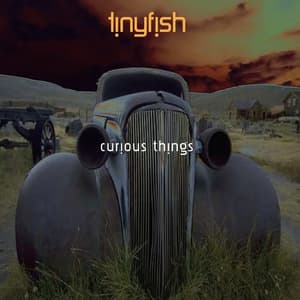 Curious Things