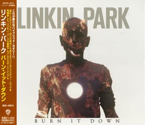 Burn It Down