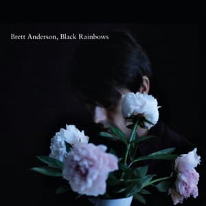 Black Rainbows