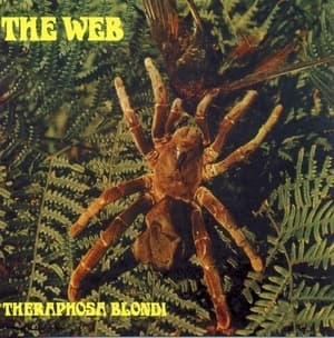Theraphosa Blondi