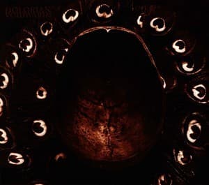 Voidwards