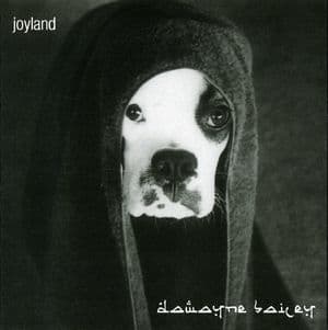 Joyland