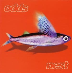 Nest