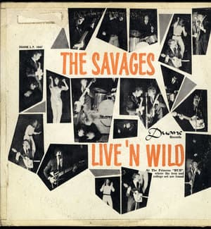 Live 'n Wild