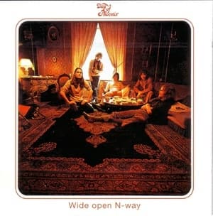 Widee Open N-Way