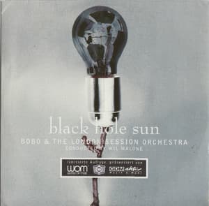 Black Hole Sun