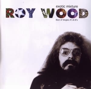 Exotic Mixture: Best Of Singles A's & B's (2CD)