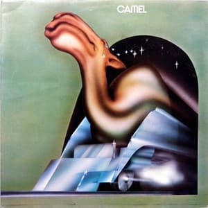 Camel