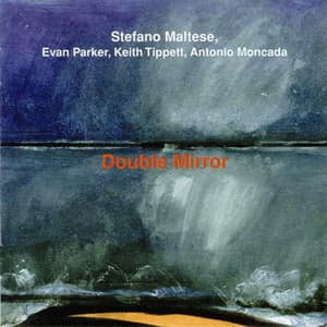 Double Mirror