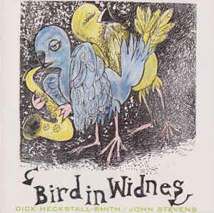 Bird In Widnes
