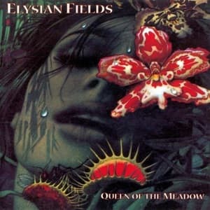 Queen Of The Meadow