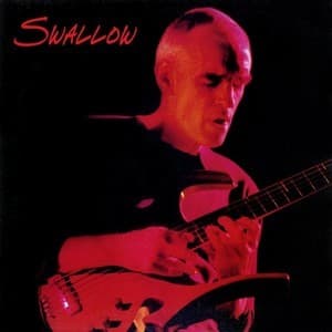 Swallow