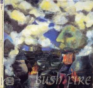Bush Fire