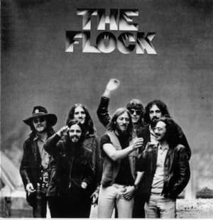 The Flock