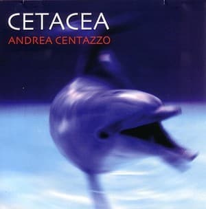 Cetacea