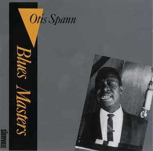 Blues Masters - Vol.10
