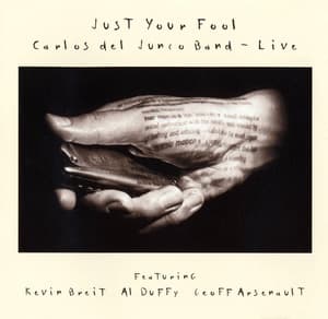 Just Your Fool