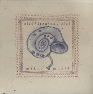 Mikro Muzik
