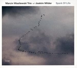 Spark Of Life