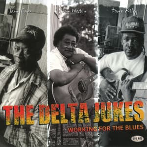 Working For The Blues
