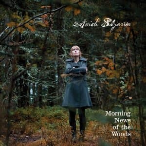 Morning News Of The Woods