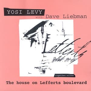 The House On Lefferts Boulevard