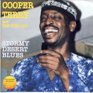 Stormy Desert Blues