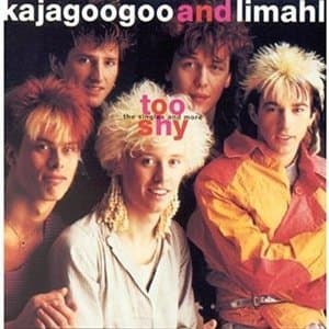 Too Shy - The Singles And More