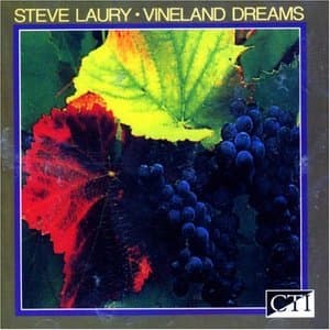 Vineland Dreams