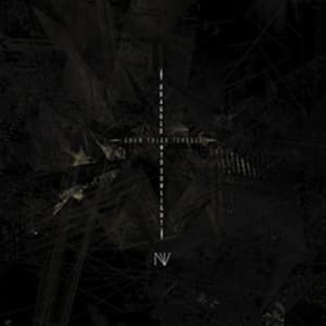 N.V.