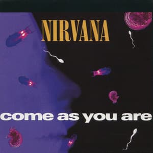 Come As You Are  [1992, MVDG-8]