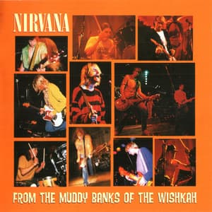 From The Muddy Banks Of The Wishkah (EU, Geffen Records, GED 2510)