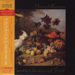 Exotic Birds And Fruit