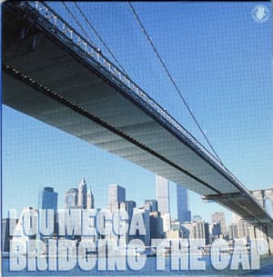 Bridging The Gap