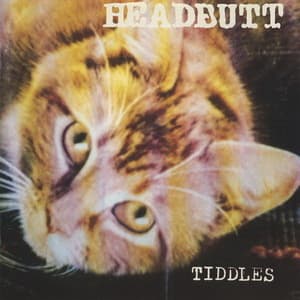 Tiddles