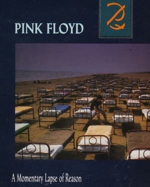 A Momentary Lapse Of Reason