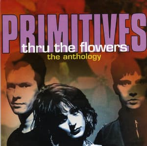 Thru The Flowers - The Anthology (CD1)