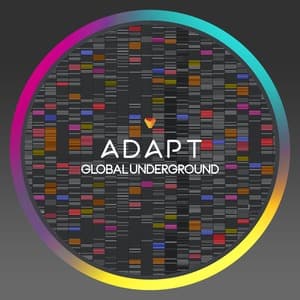 Gu Adapt 