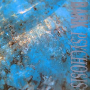Nothing Feels / I Know