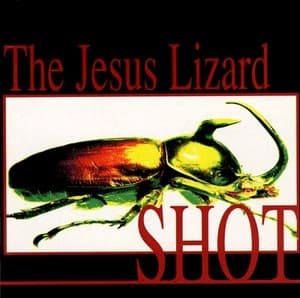 Shot