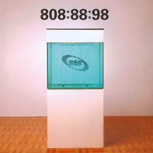 808:88:98
