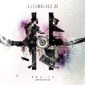 Bruise  (2CD)