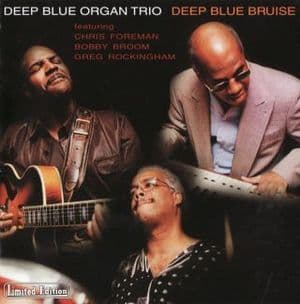 Deep Blue Bruise