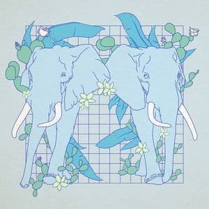 Plastic N' Ivory