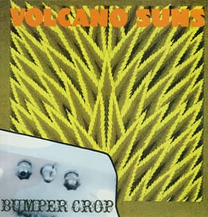 Bumper Crop