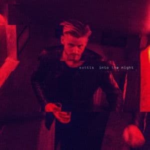 Into the Night EP