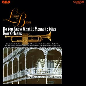 Do You Know What It Means To Miss New Orleans