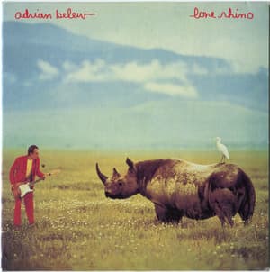 Lone Rhino