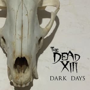Dark Days