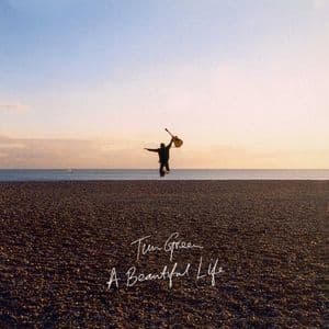 A Beautiful Life